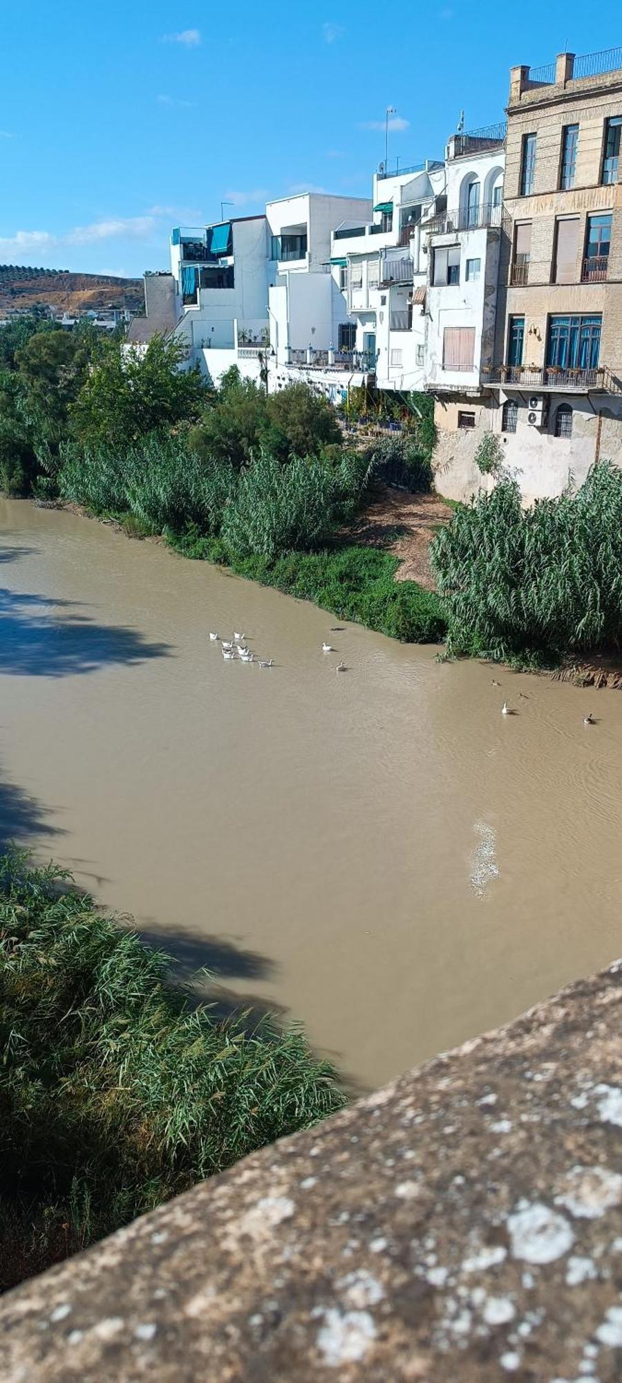 El Patio De La Cris Apartman Puente Genil Kültér fotó