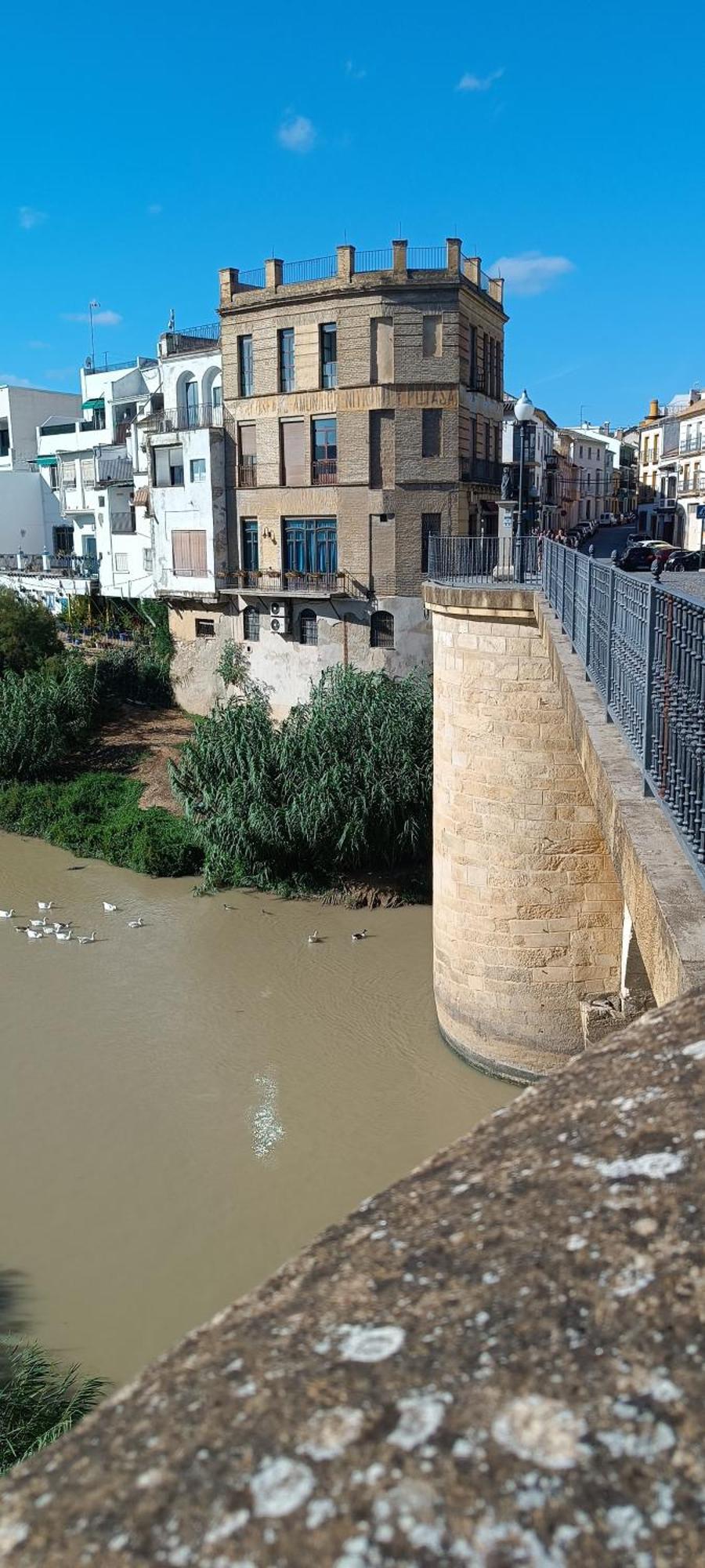El Patio De La Cris Apartman Puente Genil Kültér fotó