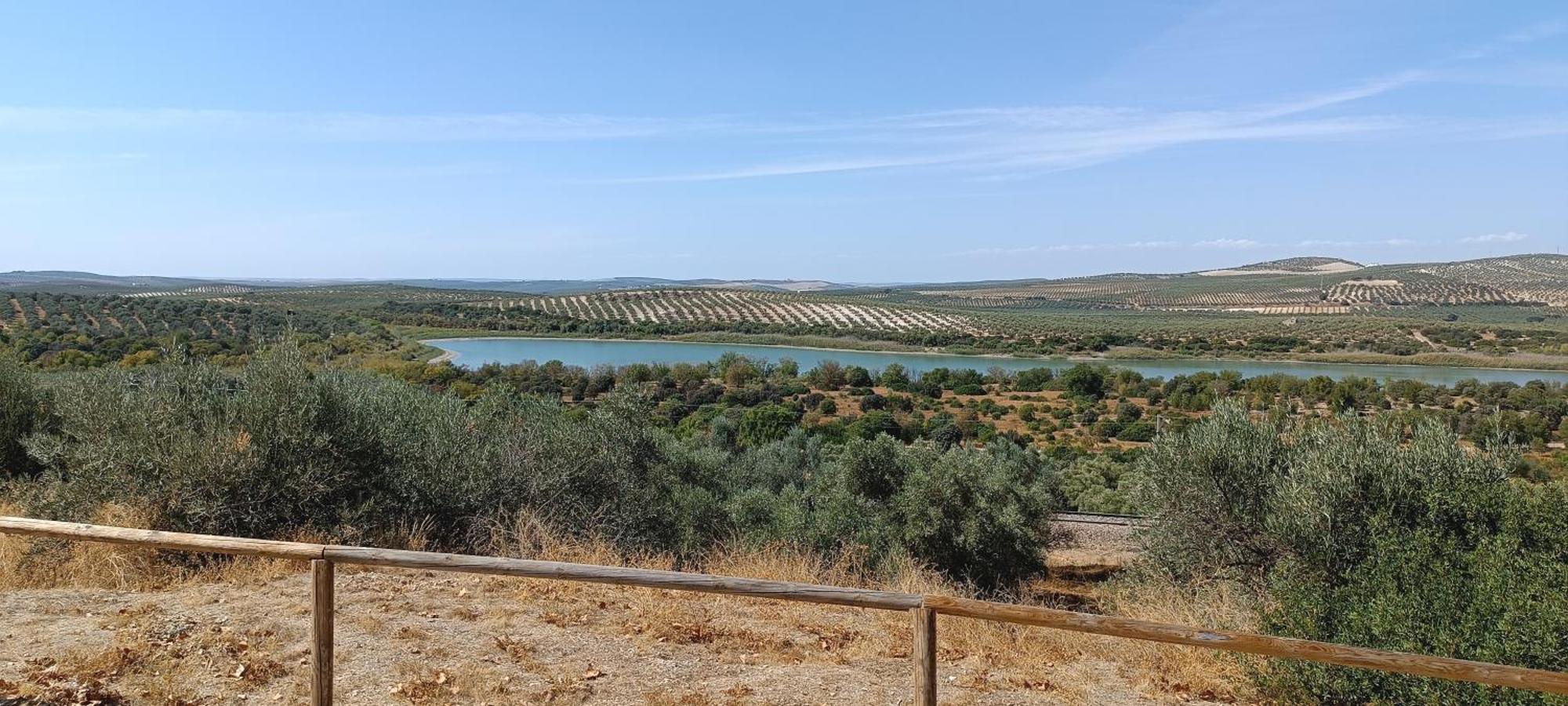 El Patio De La Cris Apartman Puente Genil Kültér fotó