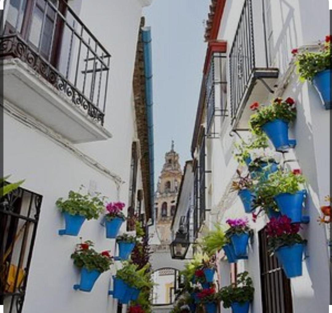 El Patio De La Cris Apartman Puente Genil Kültér fotó